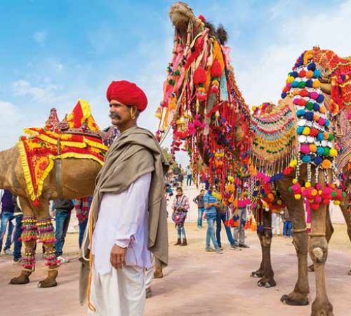 colorful-rajasthan-tour.jpg